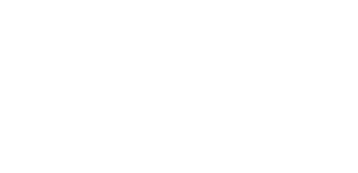 Bosch.png