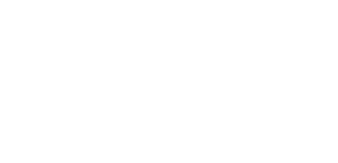 Denso.png