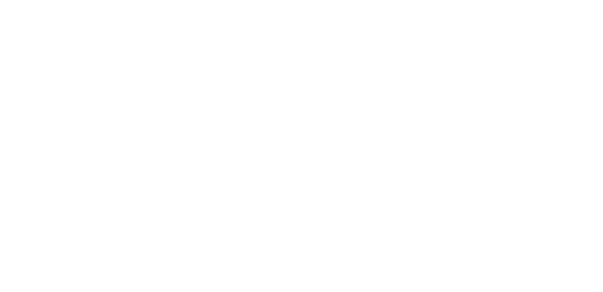 STRADVISION.png