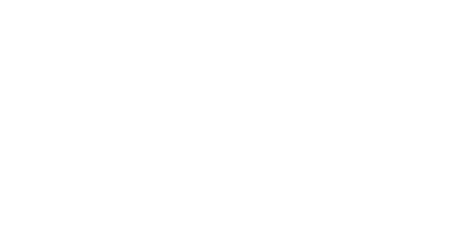 Valeo法雷奥.png