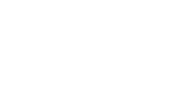 电装光庭.png