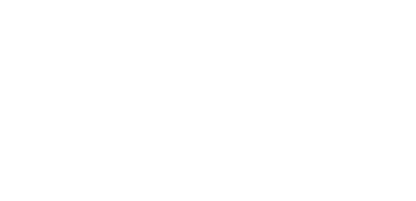 东风岚图.png